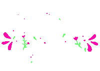 Frases Sticker