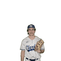 Clarke Baseball Sticker by Clarke University