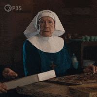Disapproving Episode 1 GIF by PBS