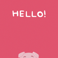 Flying Pig Hello GIF by PositivelyPigasus