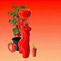 Water Garden GIF by The LSD Hotel
