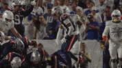 Football Nfl GIF by New England Patriots