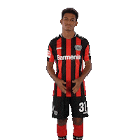 Oh No Facepalm Sticker by Bayer 04 Leverkusen