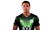 Lukas Nmecha Soccer Sticker by VfL Wolfsburg