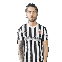 Goal Keep Sticker by Ascoli Calcio 1898