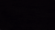 Videogames Doll GIF by White Owls Inc
