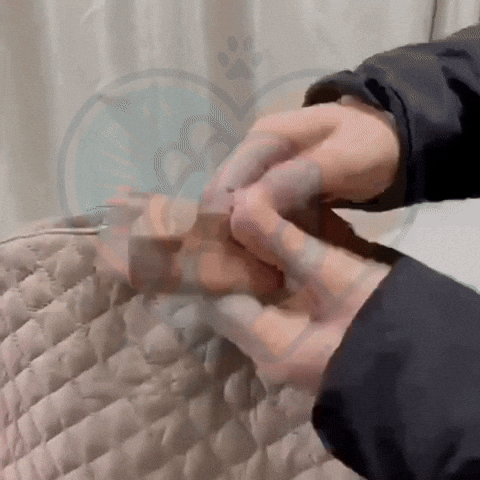 GIF CozyRide™ en déplacement