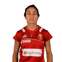 RFEH iberdrola rfeh hockey españa redsticks Sticker