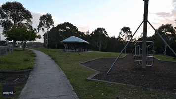Kangaroo Makes Effortless Jump Over Rope Fence in Lake Macquarie