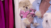real housewives lisa vandeump GIF by RealityTVGIFs