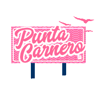 Playa Azul Sticker by Banco del Pacifico