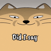 Drama Following GIF by MESA My Emotional Support Animal