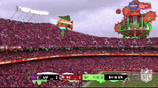 National Football League GIF by NFL