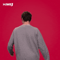 Laugh Lol GIF by SWR3