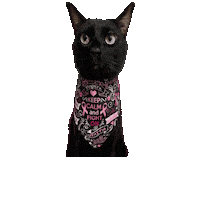Black Cat Breast Cancer Awareness Sticker by Geekster Pets