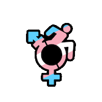 rebirthgarments pride queer trans transgender Sticker