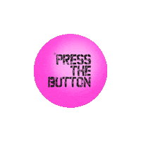 wels pressthebuttonphotoshooting Sticker by PRESS THE BUTTON