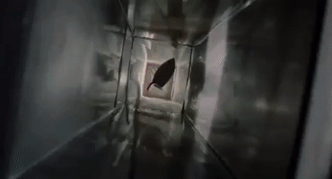 home alone christmas movies GIF