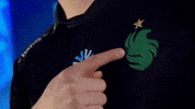 Logo Esports GIF by BLAST