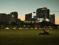 Tampa Bay Mood GIF by carla grace