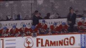 goal hockey GIF