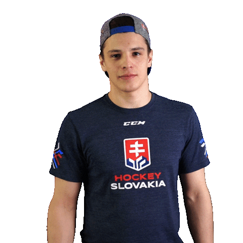 hockey pivo Sticker by Pilsner Urquell