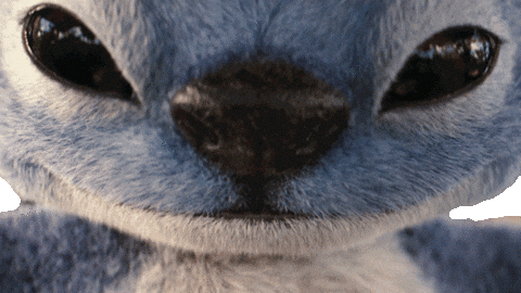 Lilo And Stitch GIF by Walt Disney Studios