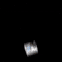 Cat Kitty GIF by sillynub