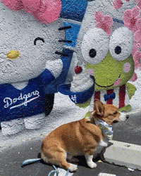 Hello Kitty Corgi GIF