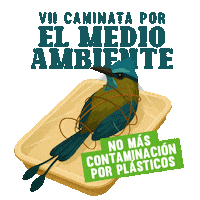 carderrisaralda carder vii caminata por el medio ambiente Sticker