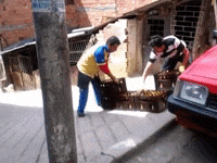 Speedy GIF