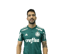 soccer futebol Sticker by SE Palmeiras