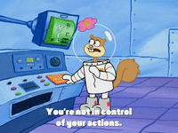 season 4 GIF by SpongeBob SquarePants