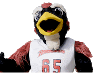 metropolitan state university of denver what Sticker by Rowdy the Roadrunner