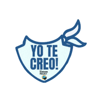 Yo Te Creo I Believe You Sticker by Partners Against Violence