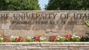 universityofutah college university utah university of utah GIF