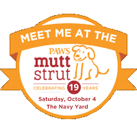 Dogs Walk Sticker by PhillyPAWS