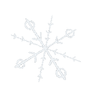Merry Christmas Sticker