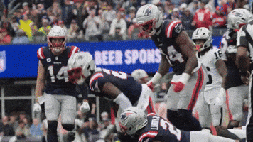 Nfl Football Celebration GIF by New England Patriots