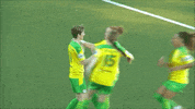 Team Mates Celebration GIF by Cliftonville Football Club