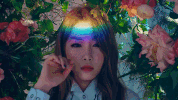 why dont you know k-pop GIF