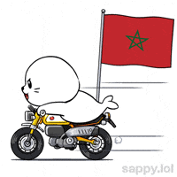 Lets Go Football GIF by Sappy Seals