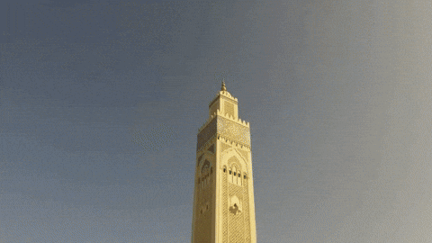 gisasantanna giphyupload GIF