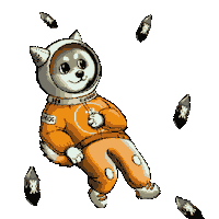 Moon Dog Sticker by $DOG