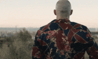 Fyre GIF