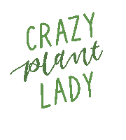 Flowers Plant Sticker