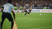 Atletico Mg Libertadores GIF by Clube Atlético Mineiro