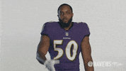 Football Thumbs Up GIF by Baltimore Ravens