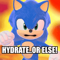 Sonic The Hedgehog Hydrate GIF by Friendly Neighbor Records