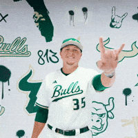 South Florida Baseball GIF by USF Athletics